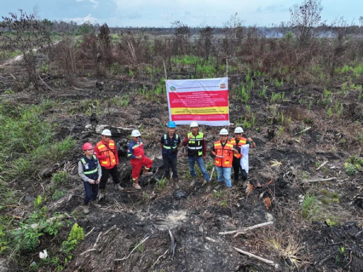 Kemenhut Ungkap Dugaan Jual-Beli dan Perambahan Hutan di Balik Karhutla