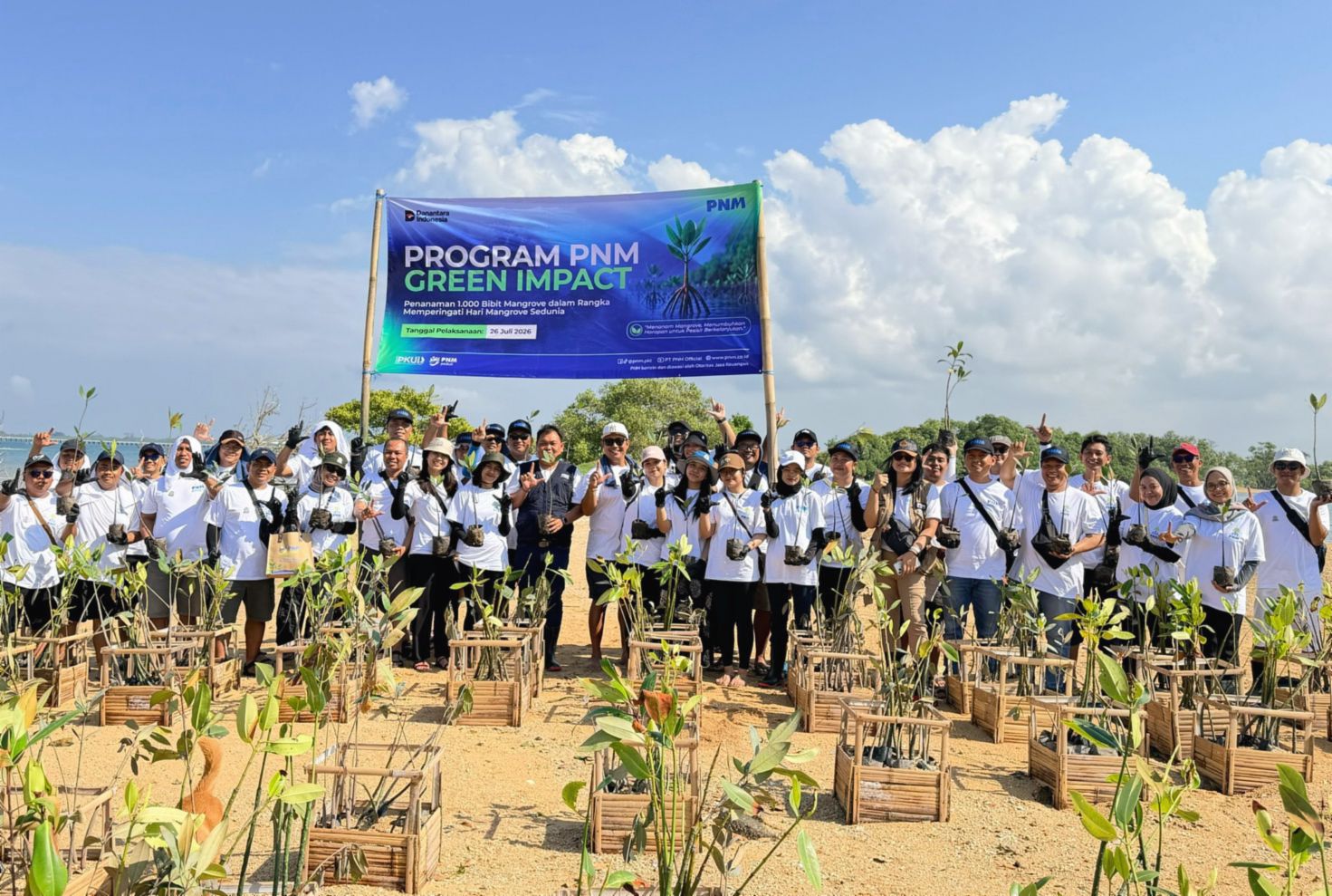 PNM Tanam 22 Ribu Mangrove di 18 Titik Pesisir Nusantara