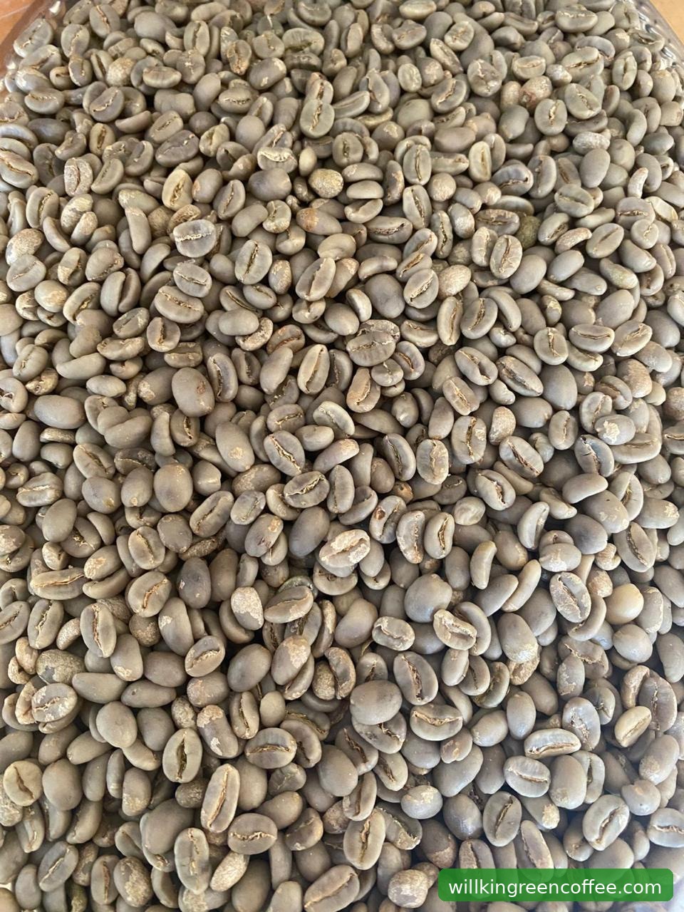 Dari Limbah Kopi ke Energi Bersih: Jejak Keberlanjutan Willkin Green Coffee di Medan